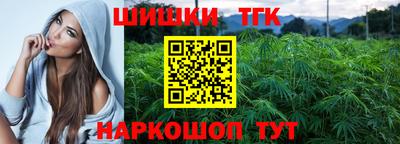 мдпв Гатчина