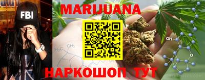 мдпв Гатчина