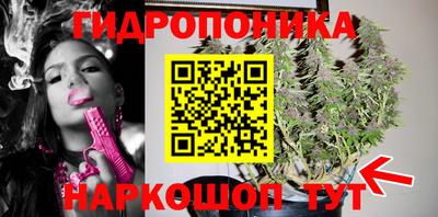 мдпв Гатчина