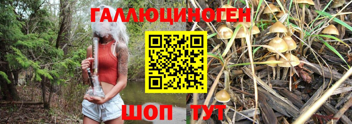 Галлюциногенные грибы Cubensis Ижевск